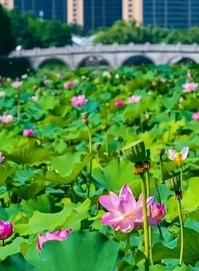 最全环太湖骑行路书来了！十大站点玩转醉美太湖！
