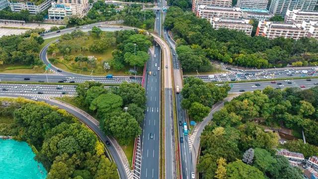 “宜居深圳”道路篇：山海与都市的交响