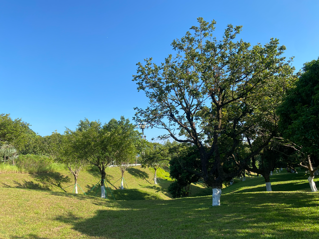 麒麟山真理公园1：这里的美景惊艳整个黄埔，你来过这里吗？