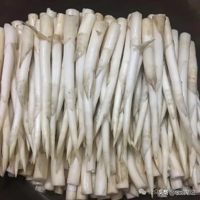 【滇行漫记之二】建水：千年古城的慢时光