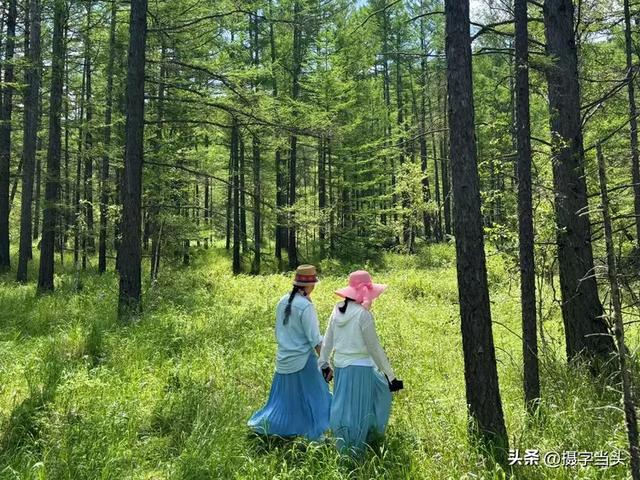 在阿尔山，邂逅一个22℃的夏天