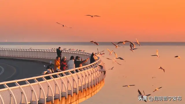 寻找旅居晋宁的密码