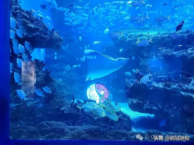 3亿打造！鹤城新地标！