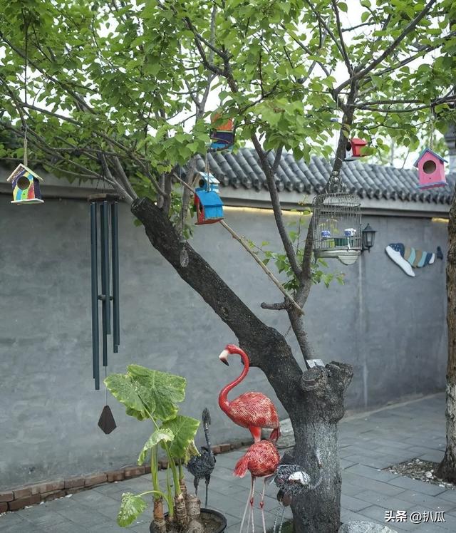 消失200天后，张颂文高调现身，大杂院内摆满废品，混得这么惨吗?