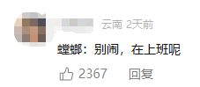 男子剪枝时发现螳螂伪装成树枝