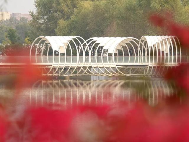 在顺义这些宝藏公园邂逅斑斓秋景——