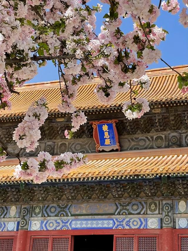 明十三陵：王朝长眠之地，时空穿越全攻略