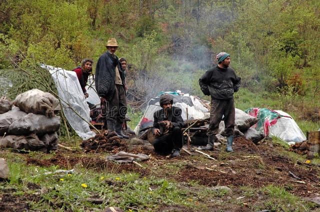 她不敢相信，在监狱里炼狱般的那三年，原来是都是他精心策划