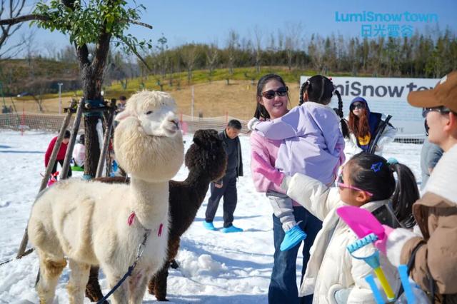 新增玩雪打卡地！就在临安“日光雪谷”！