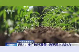 早八条丨吉林省2025年普通高考录取分数线公布！图片