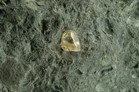 山东蒙阴金伯利岩 金刚石原生矿（钻石恒永远，一颗永流传）图片