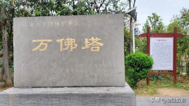 绿阳春拂柳蒙城 三千年文化朝圣