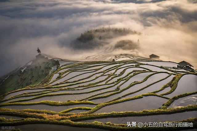 丽水 2 天实测攻略！云和梯田 + 仙都 + 古堰画乡，避坑 + 出片全说透