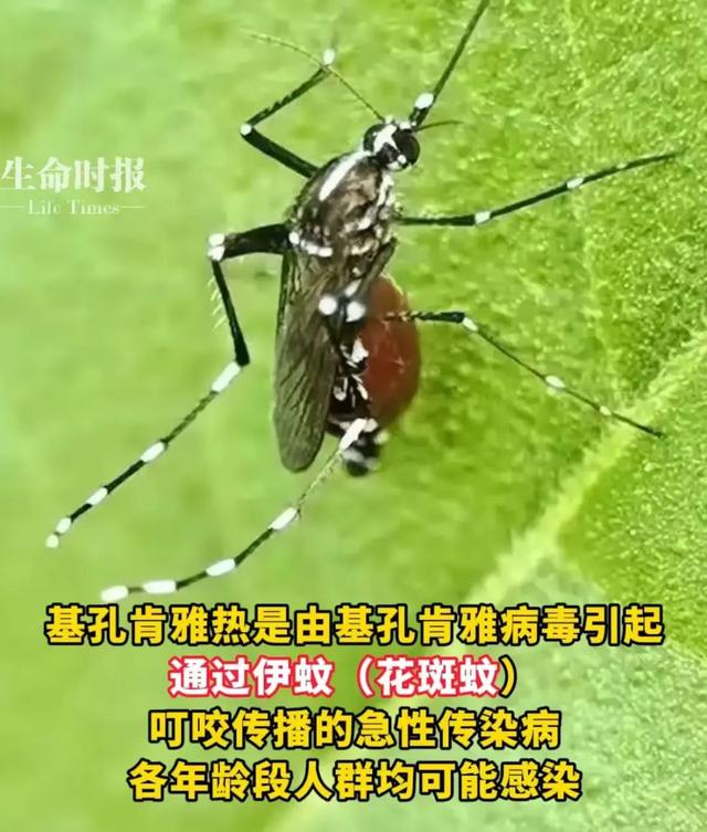 北京发现输入病例！发现这种情况立即就医！世卫警报：可能爆发大规模疫情！