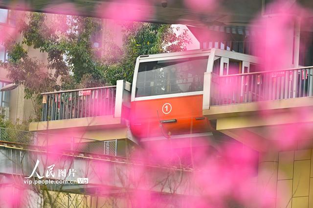 重庆：开往春天的列车