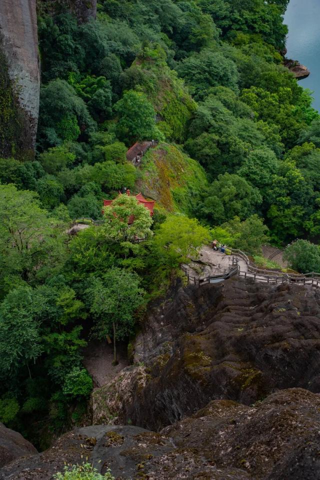 重阳、秋假去哪里？武夷登高待君来！