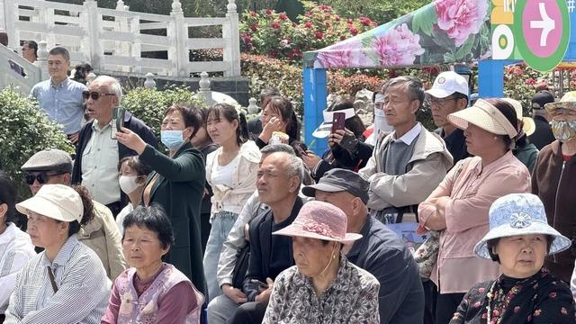 【三秦四季 花样铜川】人间四月芳菲尽 铜川牡丹始盛开