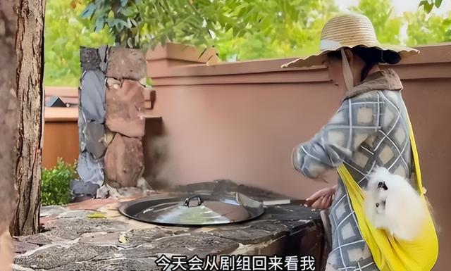 霍思燕北京的家似庄园，奢华的令人咂舌，父母双亡养一堆宠物感藉
