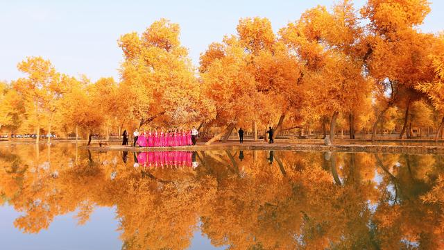 多年来，一批又一批绍兴人前赴后继，走进了这座大漠小城……