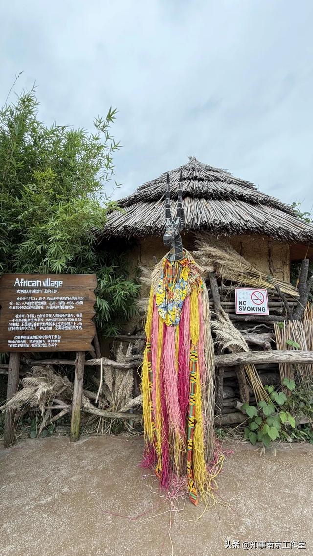 降温天逛红山动物园有多爽？