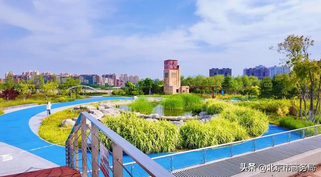 热热热热闹极了!来副中心蹦“水迪”、淘文创……解锁N种清凉玩法~
