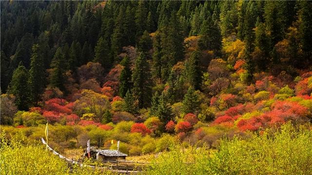 黑水县第十三届冰川彩林生态文化旅游季将于10月18日启幕