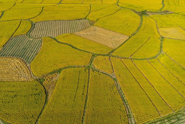 十二月，遇见预想不到的美景