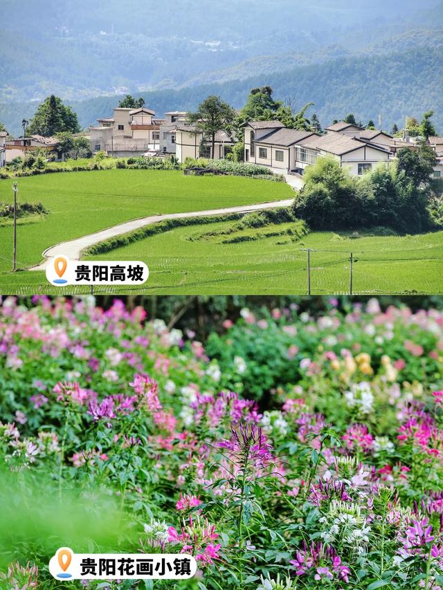 避雷‼️真心建议来贵州的朋友先看这一篇