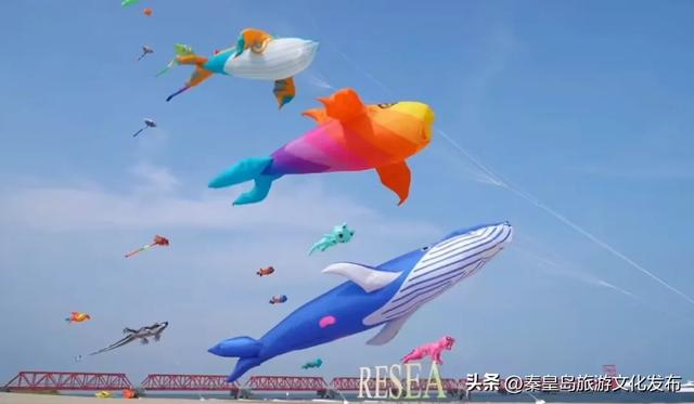 月华滨海共潮生｜文艺海岸与康养新城的双节献礼——北戴河新区2025国庆中秋假期旅游市场精彩回顾