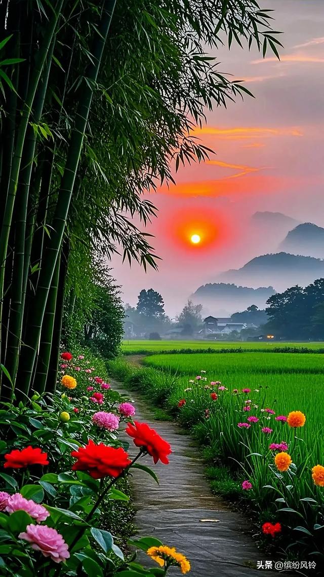 早上晚上最美的风景