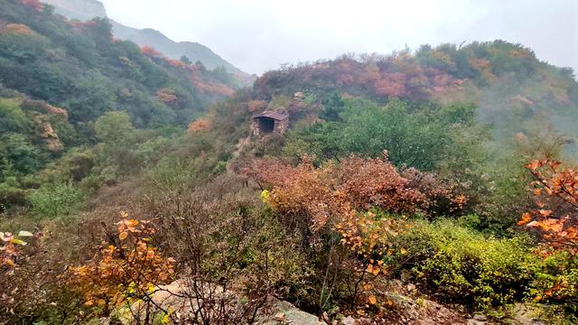 雾锁风挡山，红叶引客来