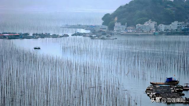 水墨国画，诗意霞浦