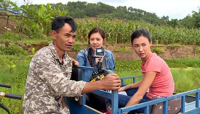 与谢霆锋离婚14年后，45岁张柏芝高调官宣喜讯，原来一切早有预料