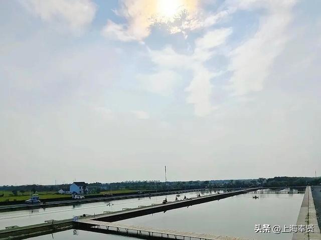 在庄行渔沥，抛一竿清风，钓满眼诗意