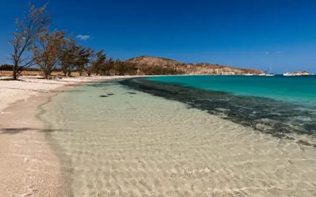 豪华探险第一站, 老人被忘荒岛, 黄金救援时间已过