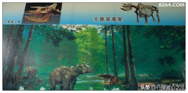 山东行游影记（27）—平邑天宇自然博物馆（二）