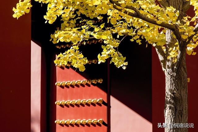 故宫这处十年一见的地方，你见过吗？