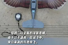 西工大你这么会伪装，怪不得会被美国禁图片