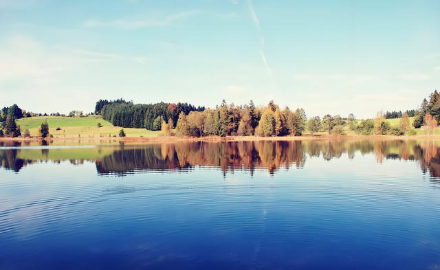 一个家庭最大的灾难，是父母五六十岁了，还随意泄露家庭隐私