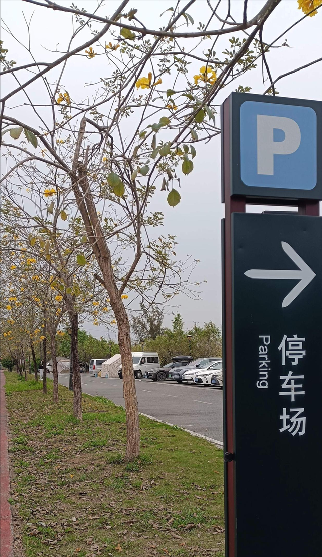 广东阳江和云南西双版纳哪里更适合老年人过冬旅居？