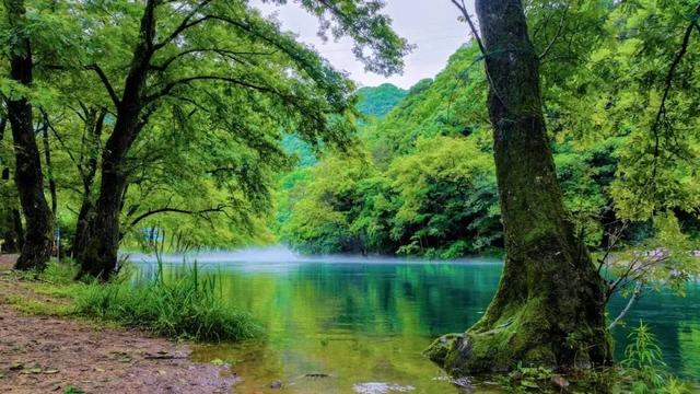 浇灭燥热！“浙”些清凉玩水胜地，你去过吗？