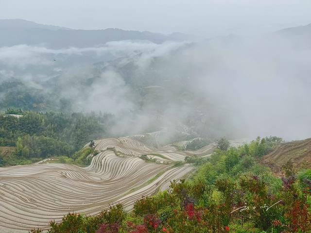 广西有个“奇怪”的旅游景点，原本只是农田，现在却是4A级景区？