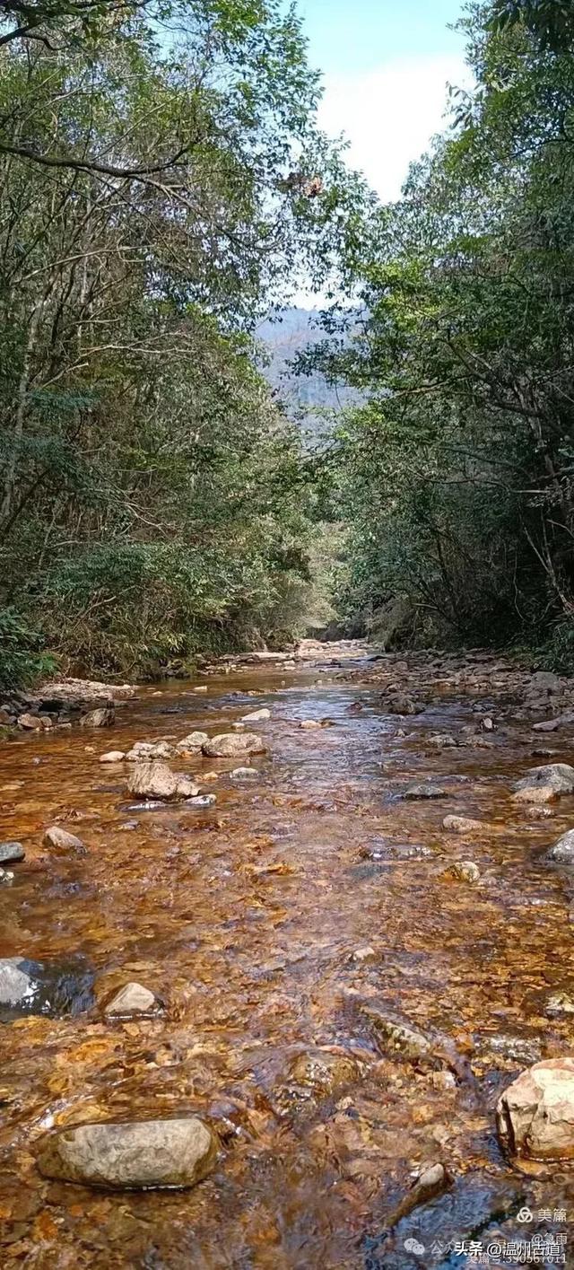 探秘楠溪江源头，深山中的秘境！