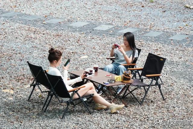当北纬27°的风穿过枫林,我在渡头村撞见了一场自然的浪漫剧场