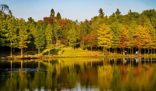 时间在这里按下暂停键，让我们见证季节变换