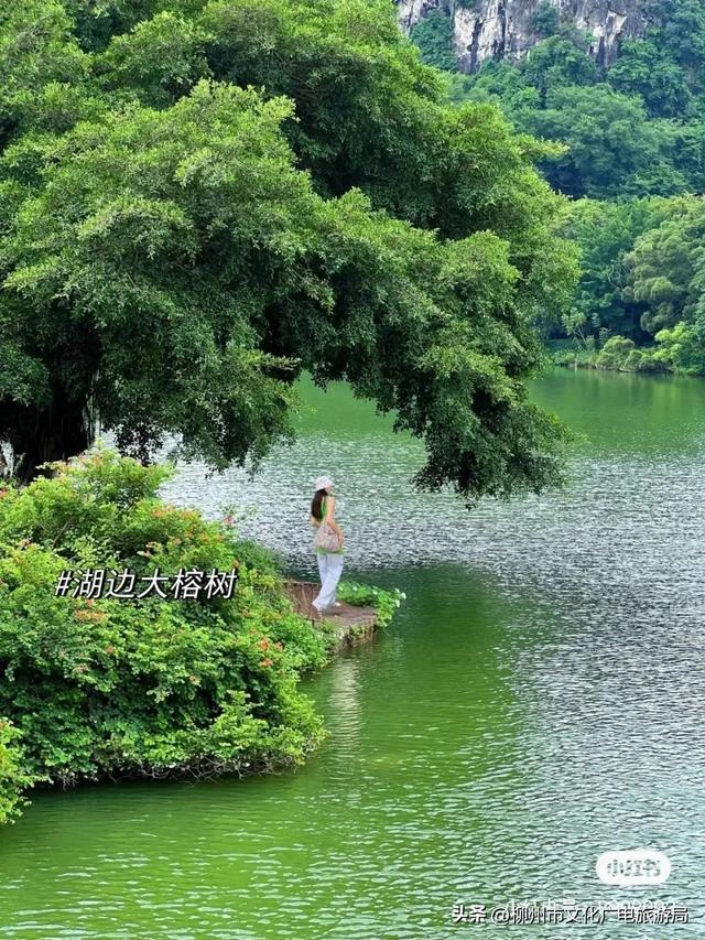 宜找个地方见一面，做什么都很甜~