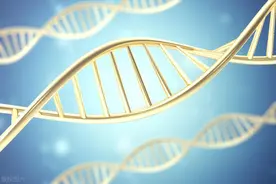 外星人可能根本不是“人”，他们的生命形态或许超出想象！图片