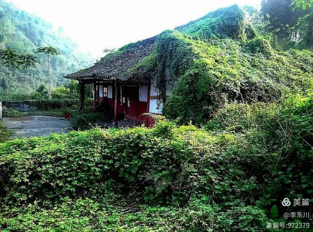 旧日时光（一）