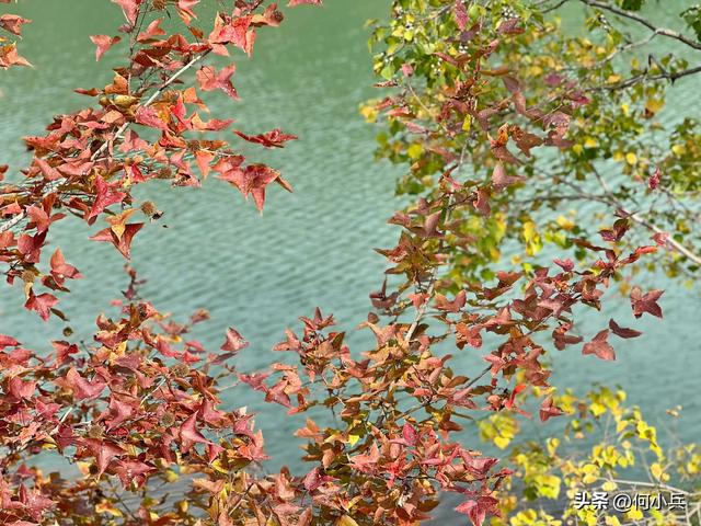 宜兴小七尖：市民偶遇义务拾荒女子 这份善举值得点赞