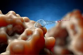 生化妊娠保不住，多半是和男性有关？图片